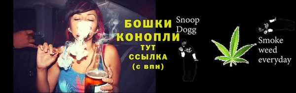 молекула духа Заволжье