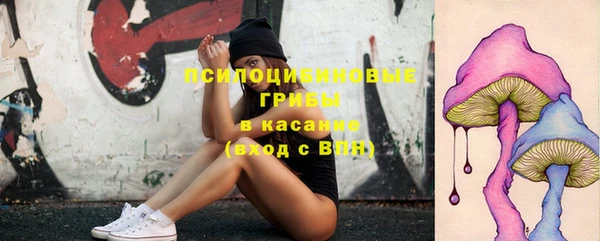 не бодяженный Абаза
