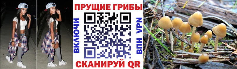 Галлюциногенные грибы мухоморы  блэк спрут как войти  Агидель 